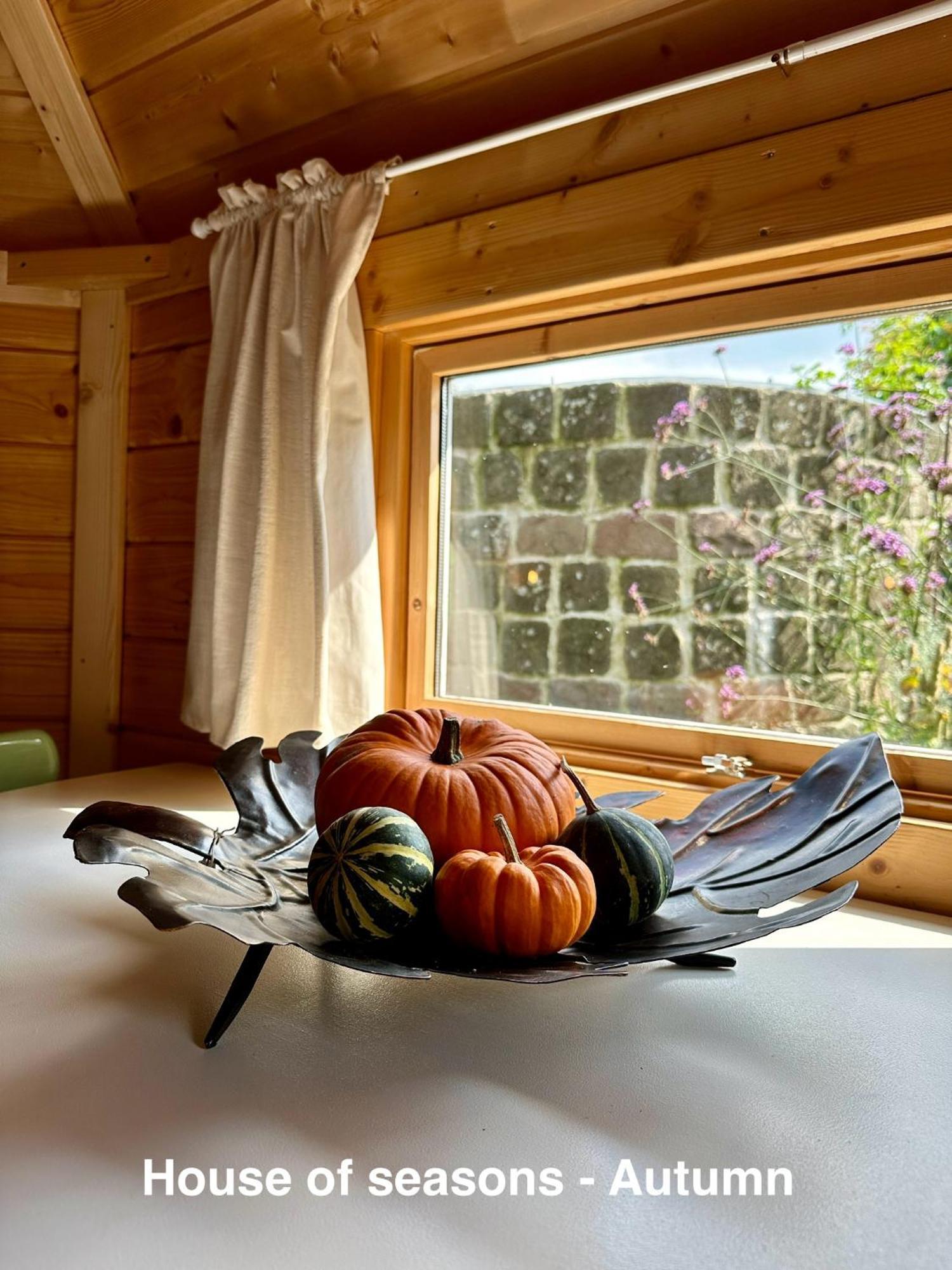 B&B Cosy Garden Alblasserdam Pokój zdjęcie